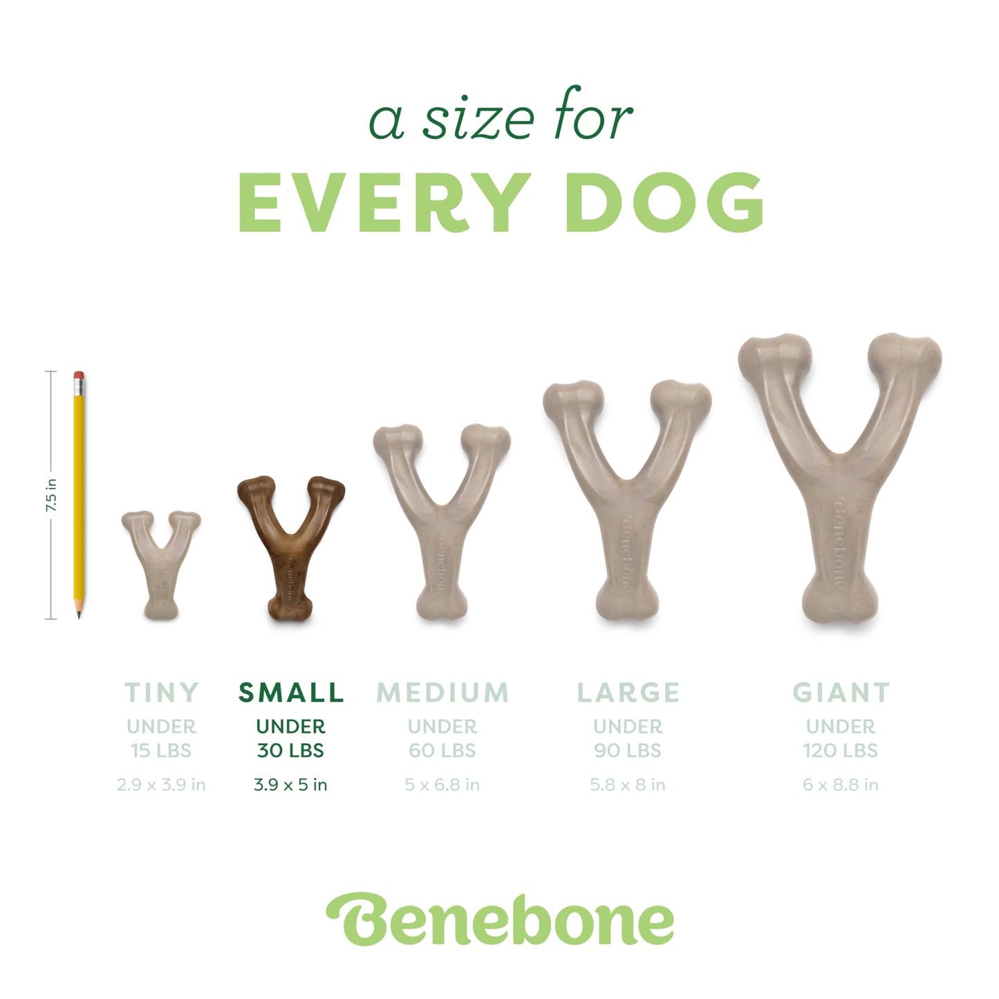 Benebone Wishbone Durable Dog Chew Toy for Aggressive Chewers, Made in USA, Small, Real Bacon Flavor-UPStoxs