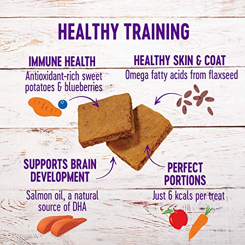 Wellness Soft Puppy Bites Healthy Grain-Free Treats for Training, Dog Treats with Real Meat and DHA, No Artificial Flavors (Lamb & Salmon, 8-Ounce Bag)-UPStoxs