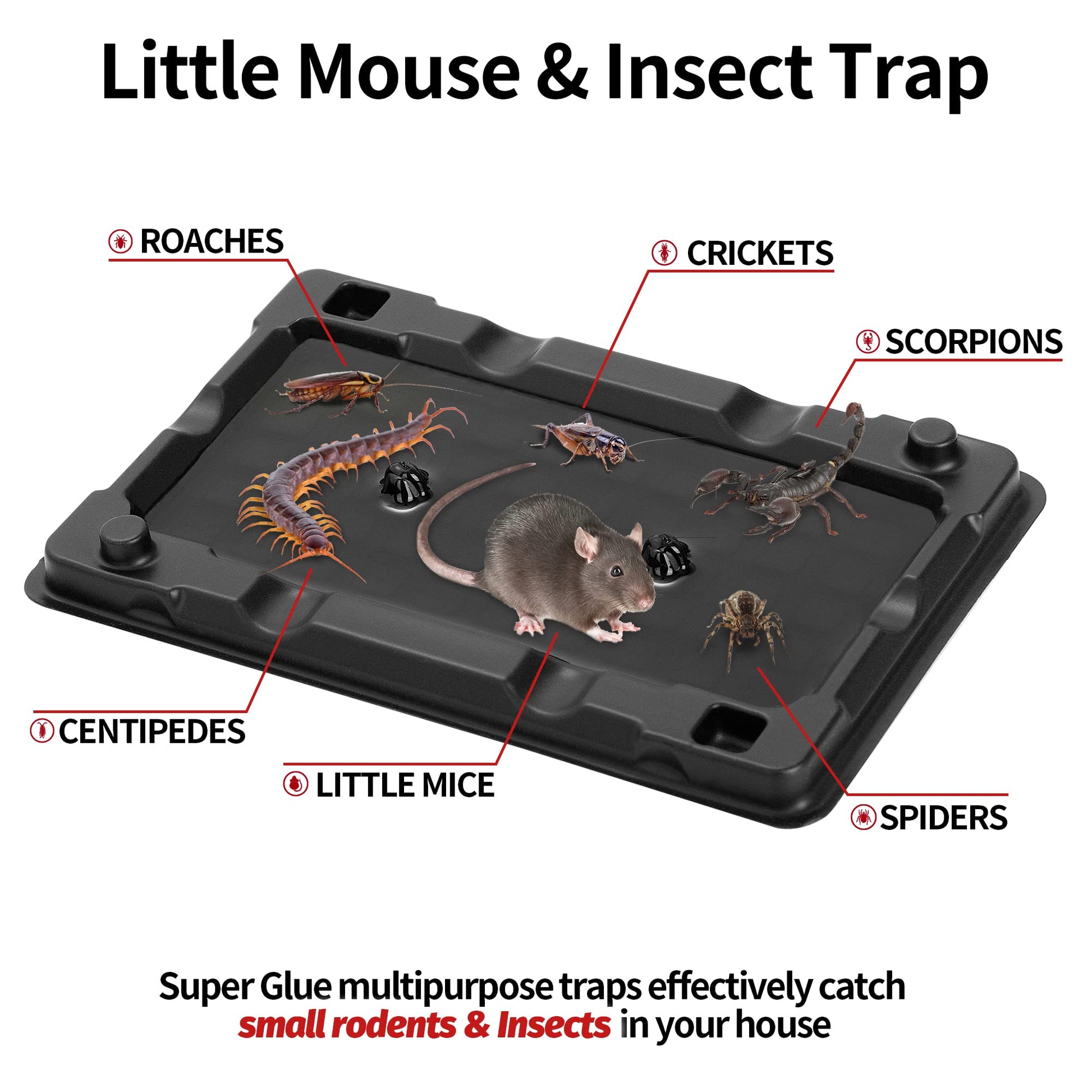 LULUCATCH Mouse & Insect Traps 12 Pack, Heavier Sticky Traps with Non-Toxic Glue for Small Mice & Insects. Sticky Mouse Traps Indoor, Easy to Set, Safe to Children & Pets-UPStoxs