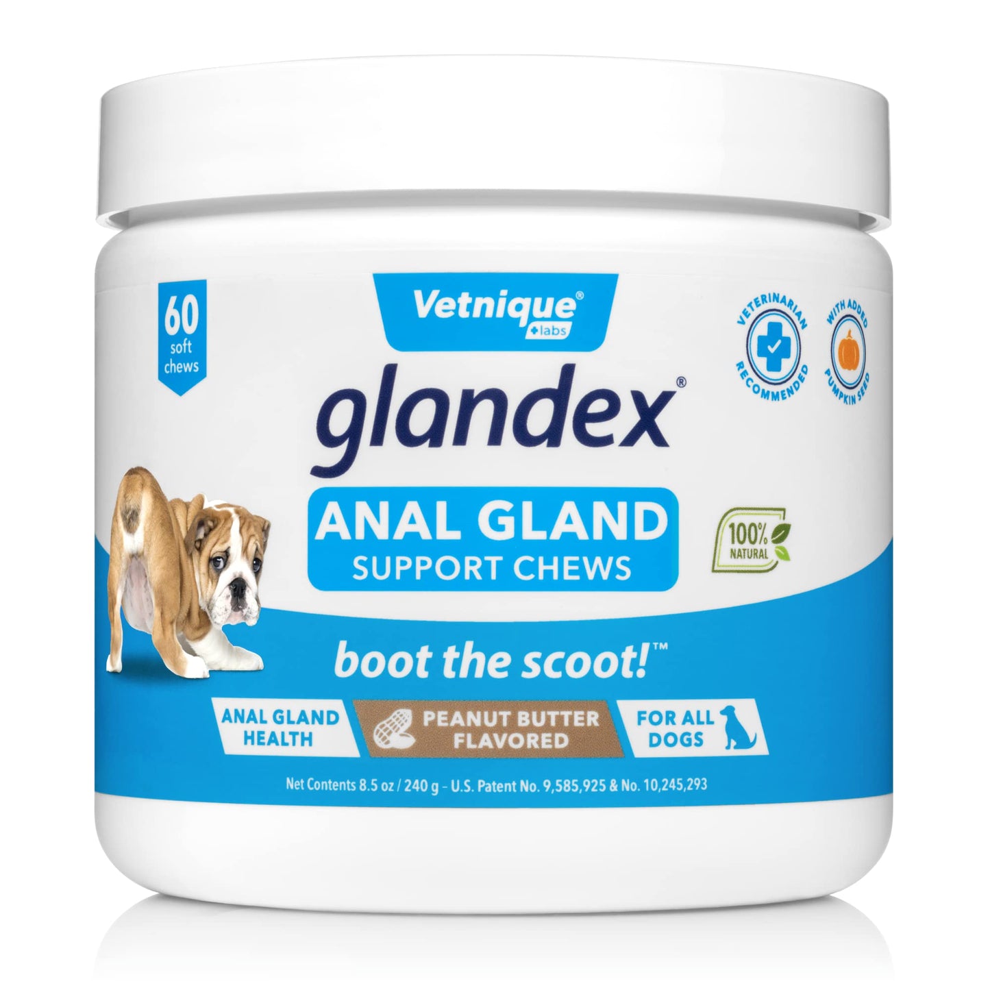 Glandex Anal Gland Soft Chew Treats with Pumpkin for Dogs Digestive Enzymes, Probiotics Fiber Supplement for Dogs Boot The Scoot (Peanut Butter Chews, 60ct)-UPStoxs