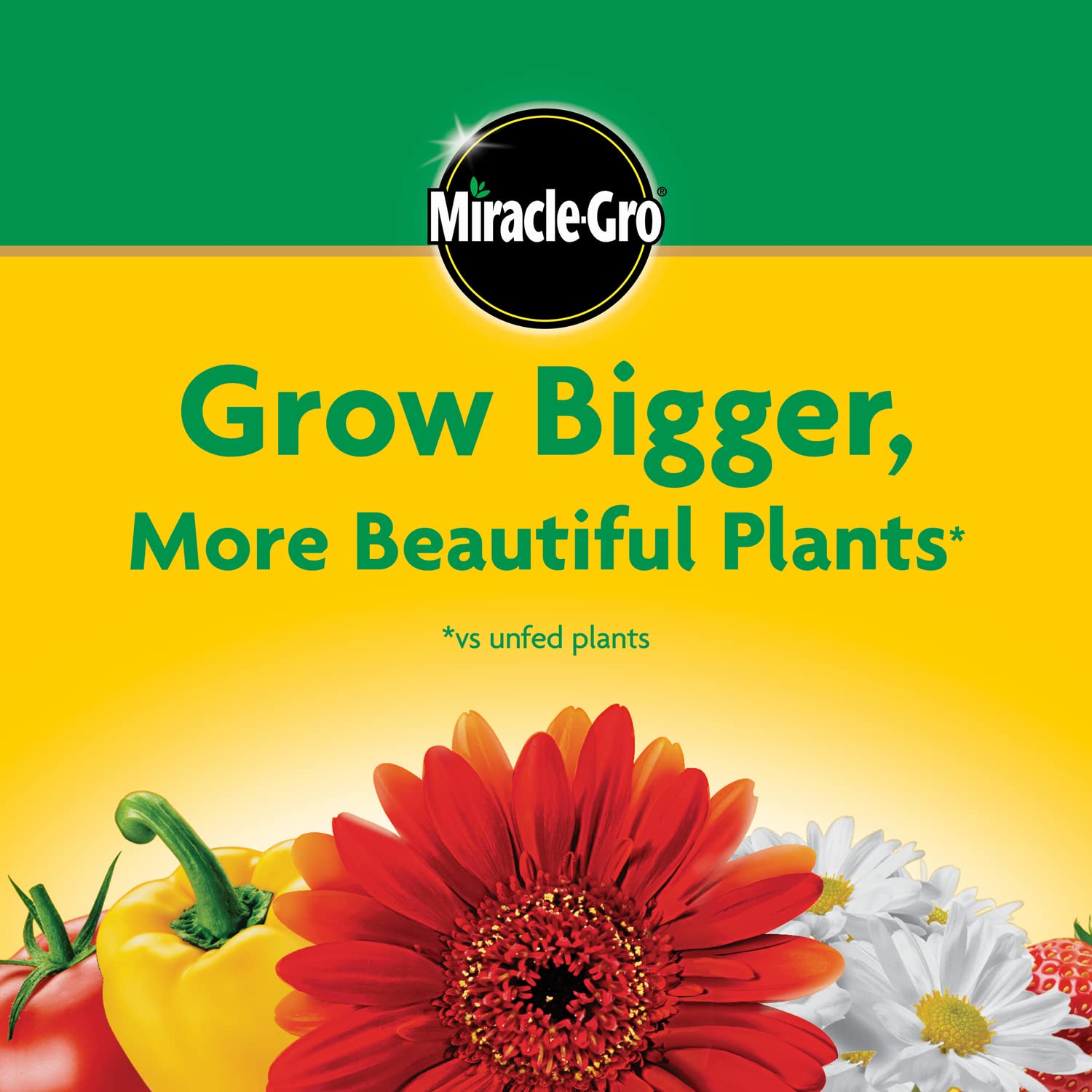 Miracle-Gro Water Soluble All Purpose Plant Food, Fertilizer for Indoor or Outdoor Flowers, Vegetables or Trees, 3 lbs.-UPStoxs