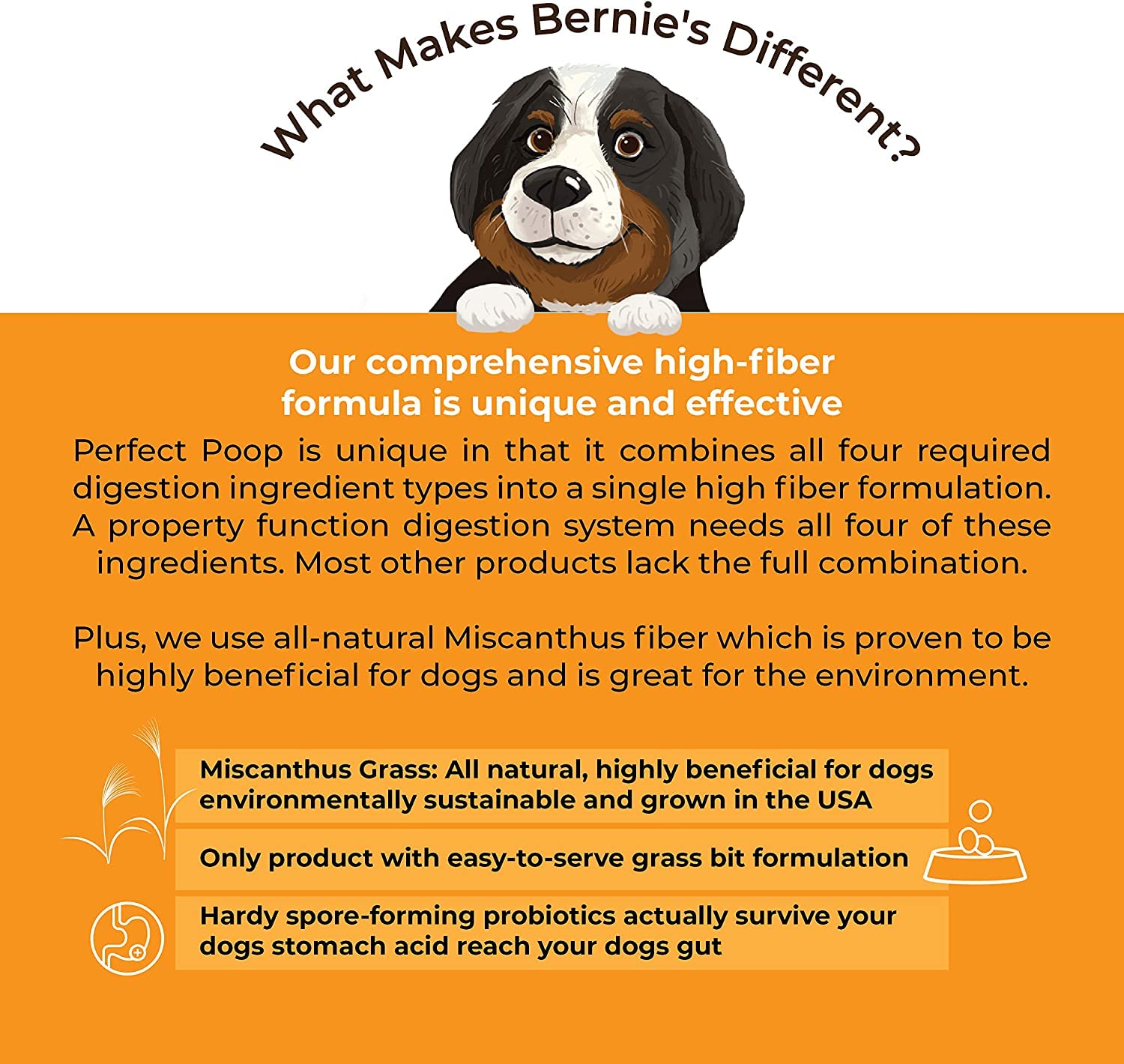 Perfect Poop Digestion & General Health Supplement for Dogs: Fiber, Prebiotics, Probiotics & Enzymes Relieve Digestive Conditions, Optimize Stool, and Improve Health (Cheddar Cheese, 12.8 oz)-UPStoxs