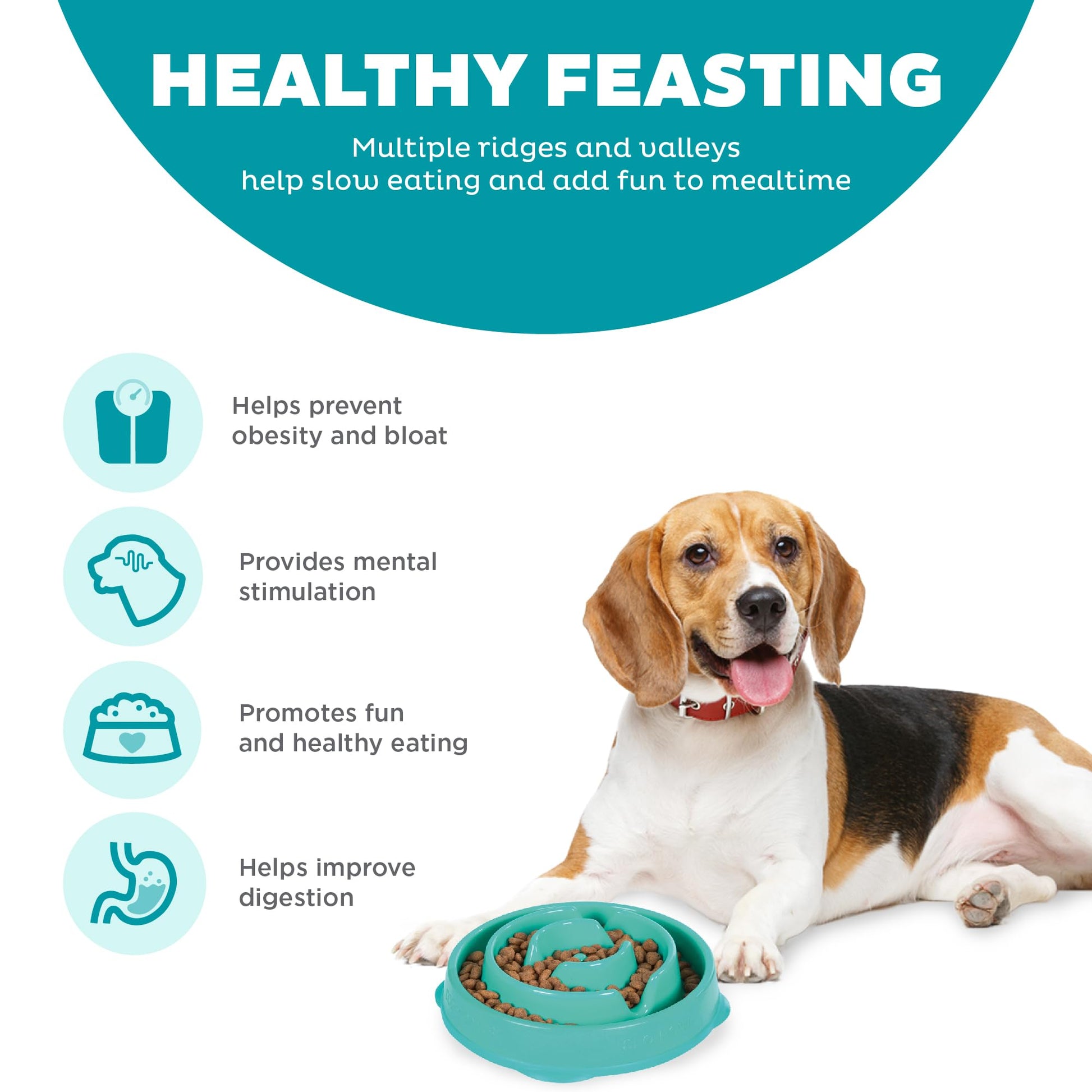 Outward Hound Fun Feeder Slo Bowl, Slow Feeder Dog Bowl, Medium/Mini, Turquoise-UPStoxs