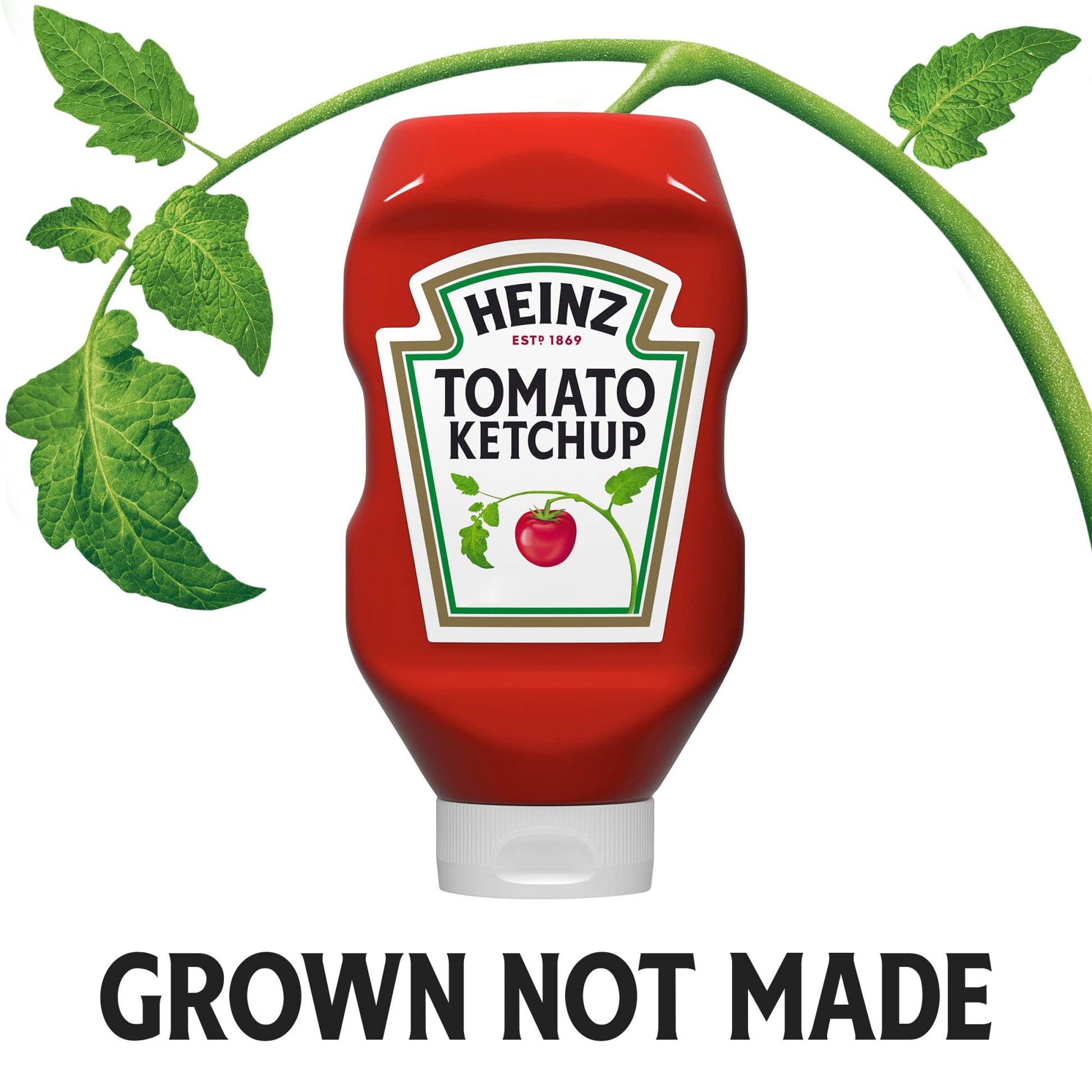 Heinz Tomato Ketchup (32 oz Bottle)-UPStoxs