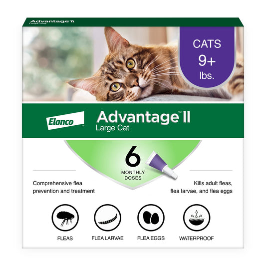 Advantage II Large Cat Vet-Recommended Flea Treatment & Prevention | Cats Over 9 lbs. | 6-Month Supply-UPStoxs