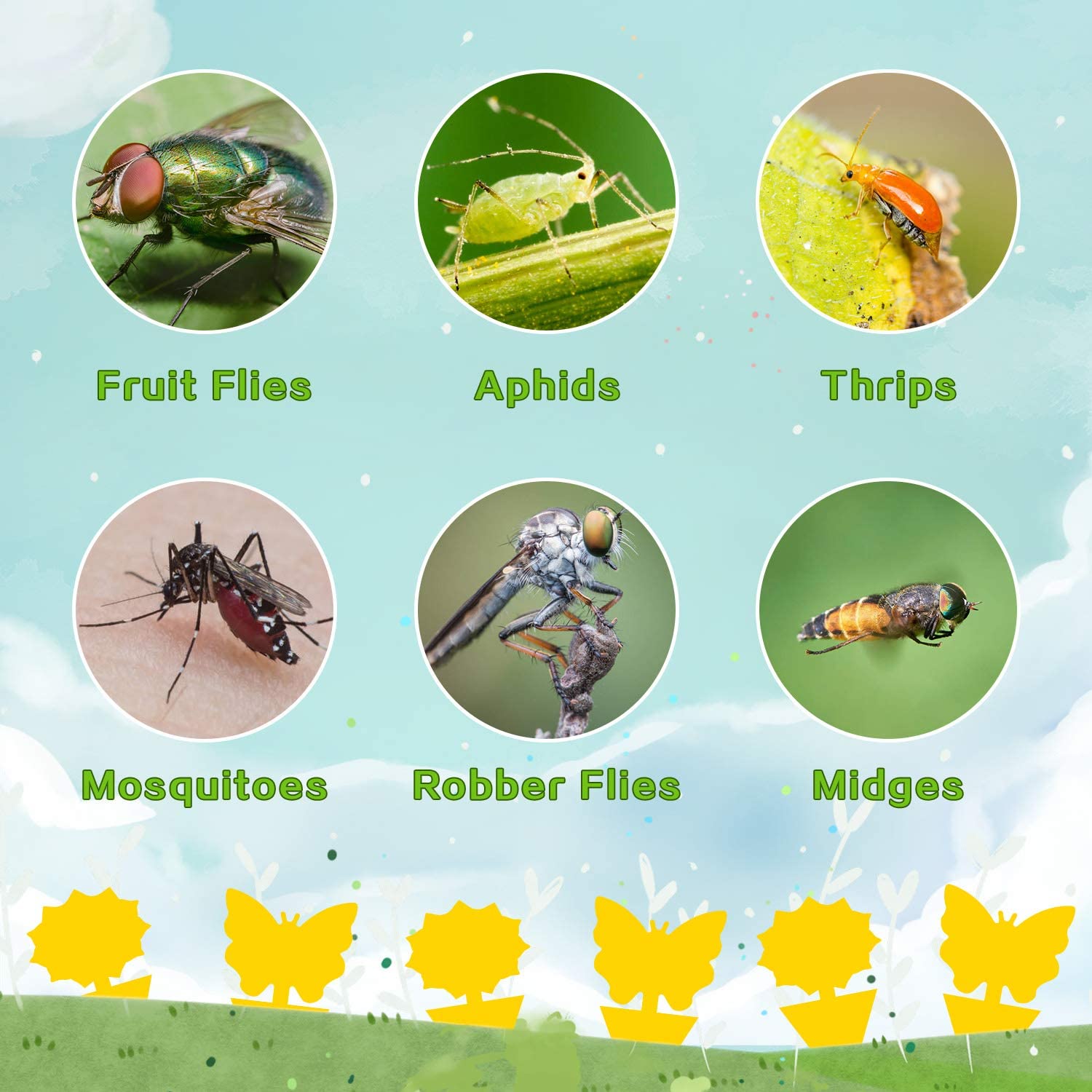 Fruit Fly Traps Fungus Gnat Traps Yellow Sticky Bug Traps 36 Pack Non-Toxic and Odorless for Indoor Outdoor Use Protect The Plant-UPStoxs