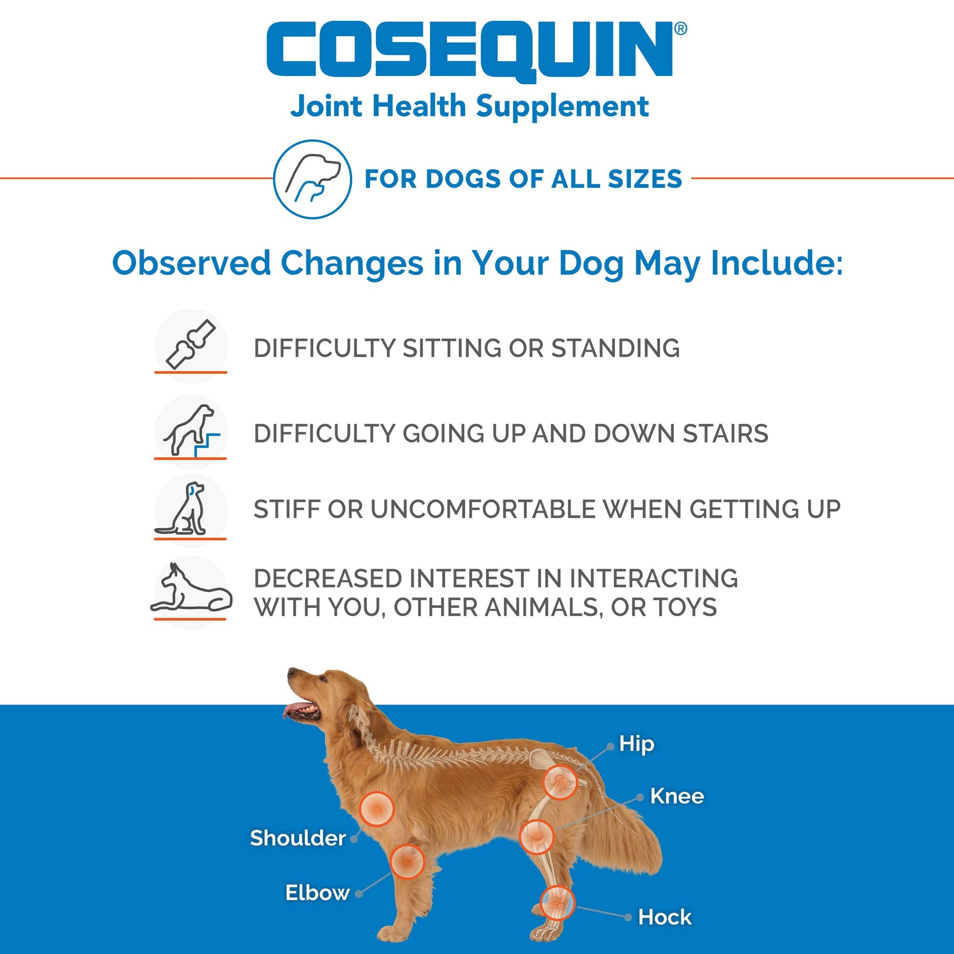 Nutramax Laboratories Cosequin Maximum Strength Joint Health Supplement for Dogs - With Glucosamine, Chondroitin, and MSM, 132 Chewable Tablets-UPStoxs