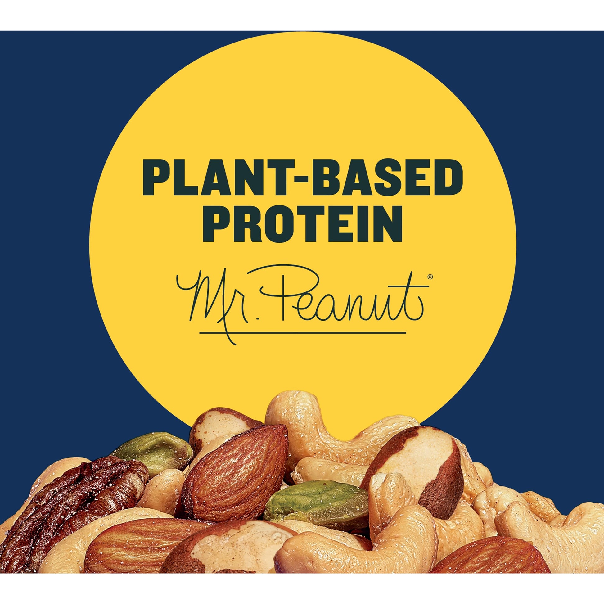 PLANTERS Deluxe Salted Mixed Nuts, Roasted Cashews, Almonds, Pecans, Pistachios, and Hazelnuts, Party Snacks, Plant-Based Protein, Quick Snack for Adults, After School Snack, 34oz Container-UPStoxs