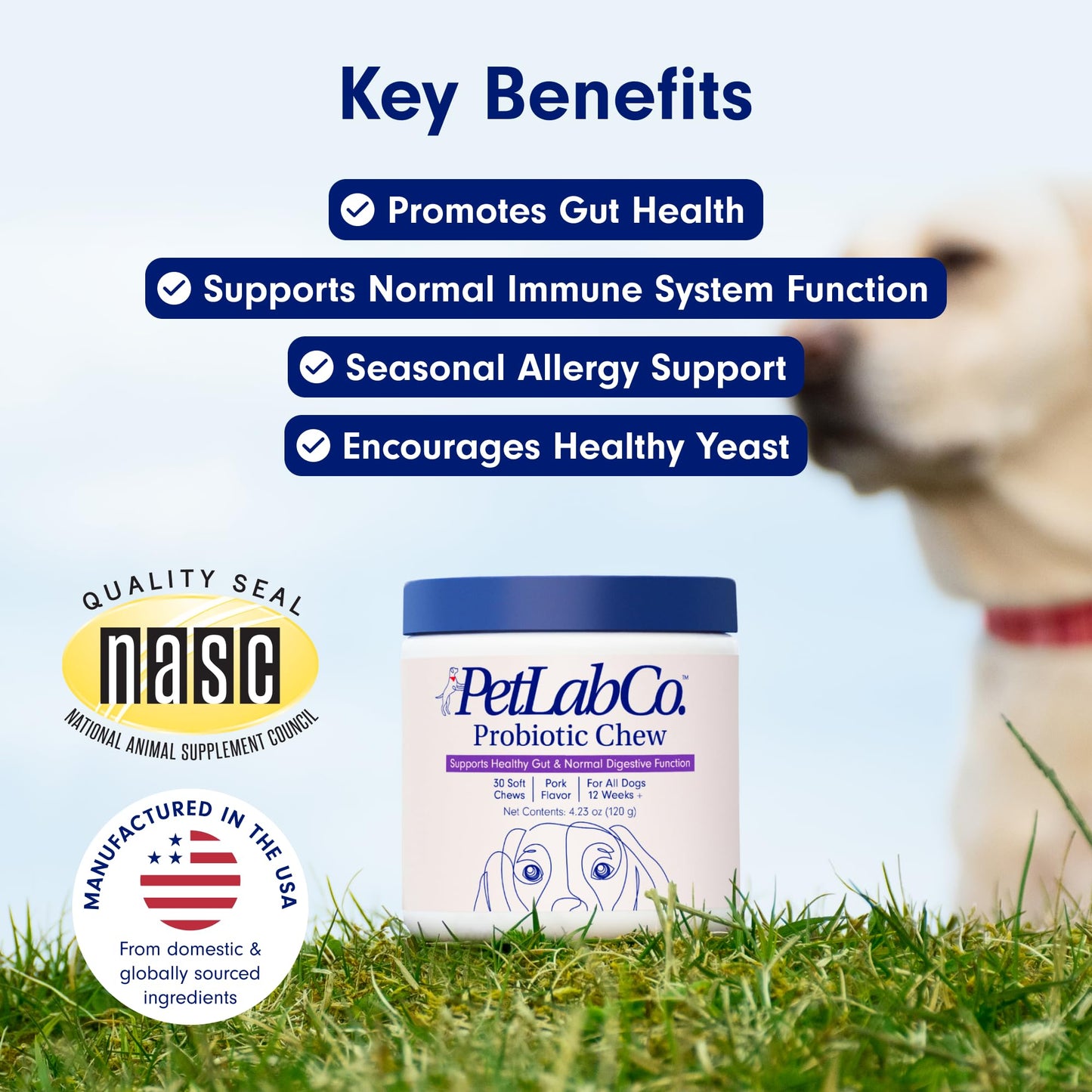 PetLab Co. Probiotics for Dogs, Support Gut Health, Diarrhea, Digestive Health & Seasonal Allergies - Pork Flavor - 30 Soft Chews - Packaging May Vary-UPStoxs