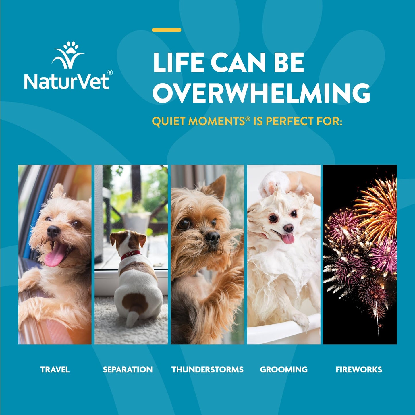 NaturVet Quiet Moments Calming Aid Dog Supplement – Helps Promote Relaxation, Reduce Stress, Storm Anxiety, Fireworks, Motion Sickness for Dogs – Tasty Pet Soft Chews with Melatonin – 70 Ct.-UPStoxs