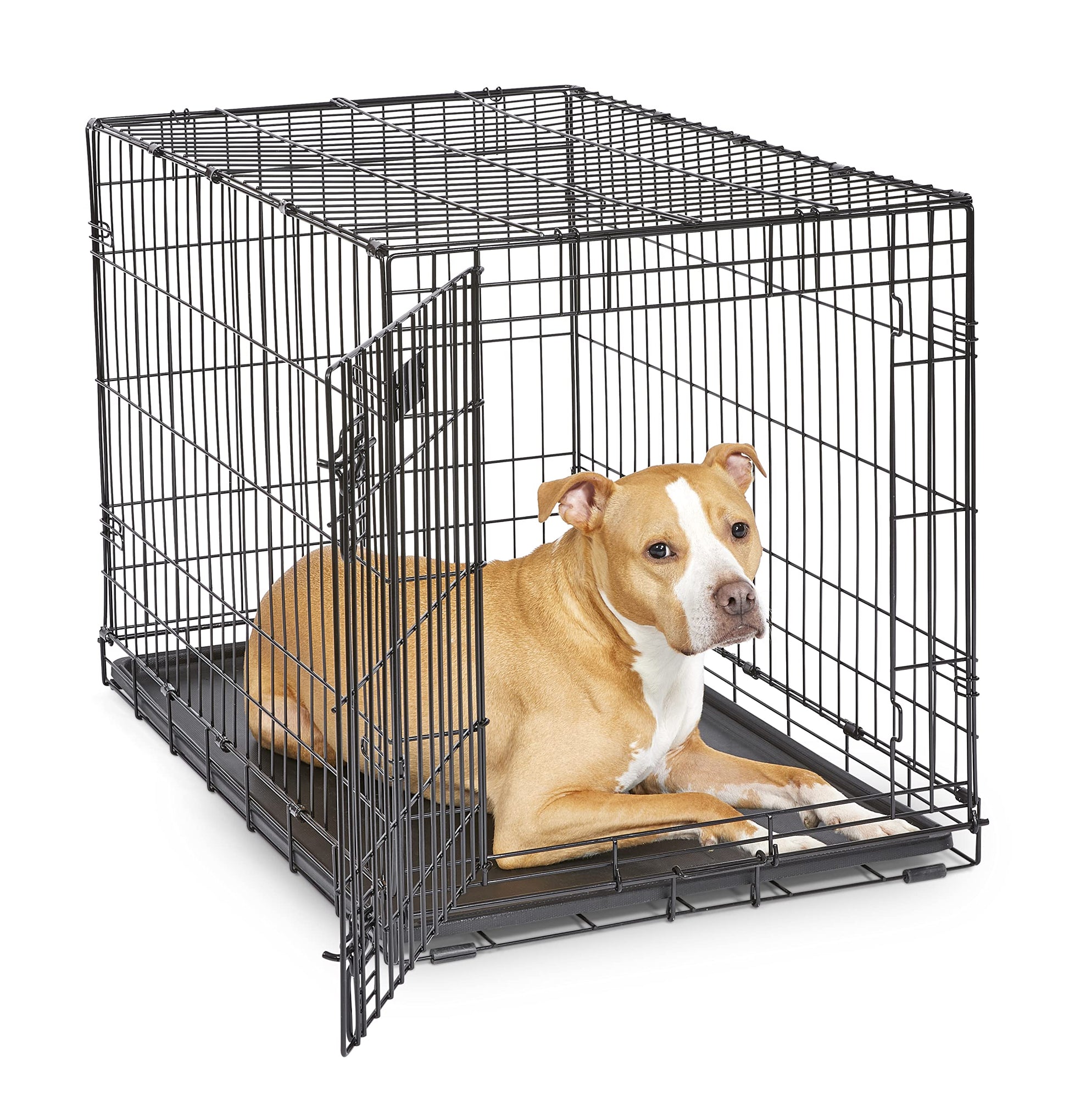 MidWest Homes for Pets Newly Enhanced Single Door iCrate Dog Crate, Includes Leak-Proof Pan, Floor Protecting Feet , Divider Panel & New Patented Features, Black-UPStoxs