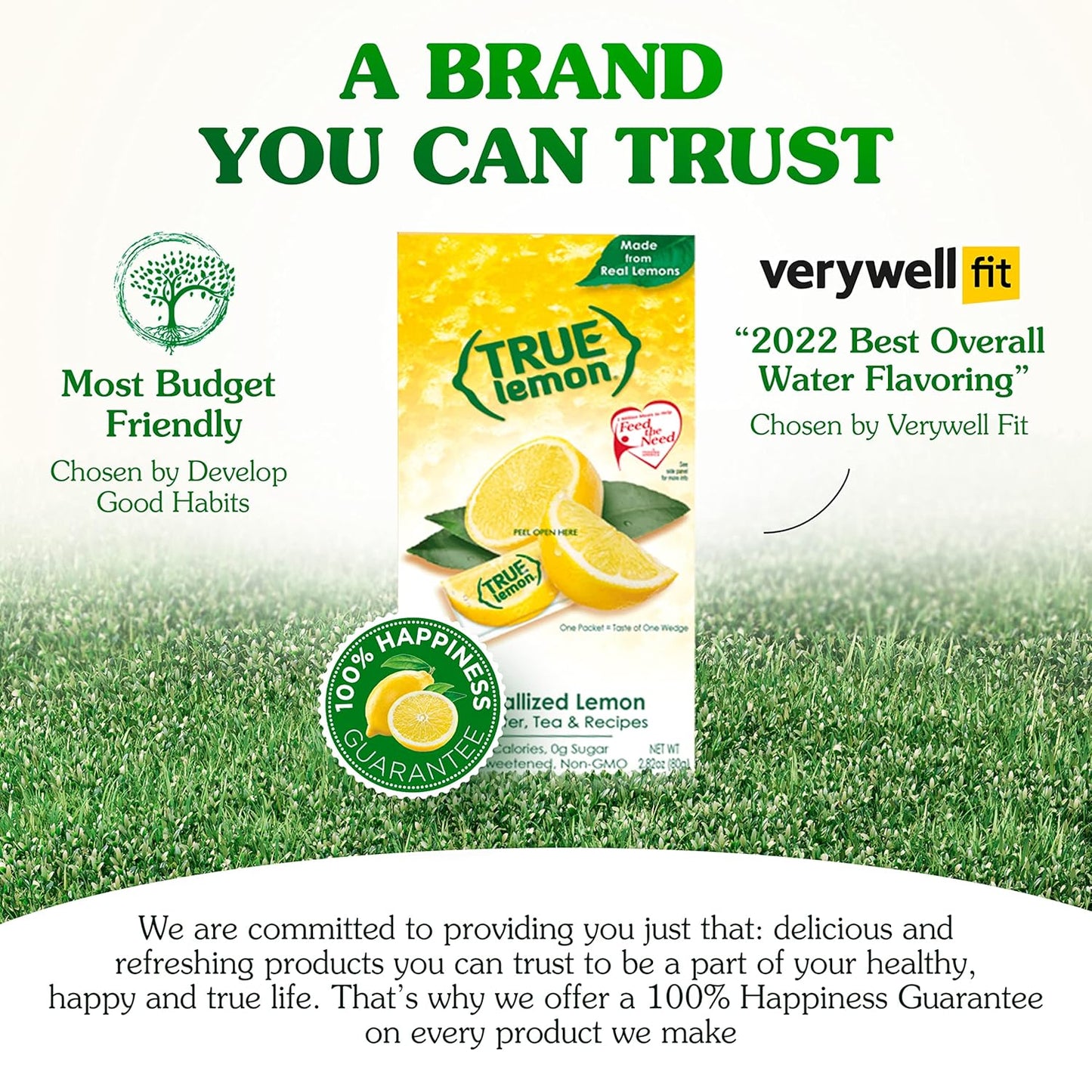 True Lemon 500 ct.