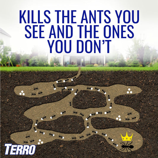 TERRO Liquid Ant Killer ll T200, 2 oz-UPStoxs